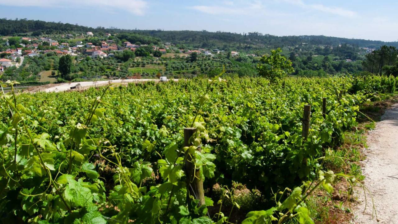 Quinta Da Serrana 奥雷堡垒 外观 照片