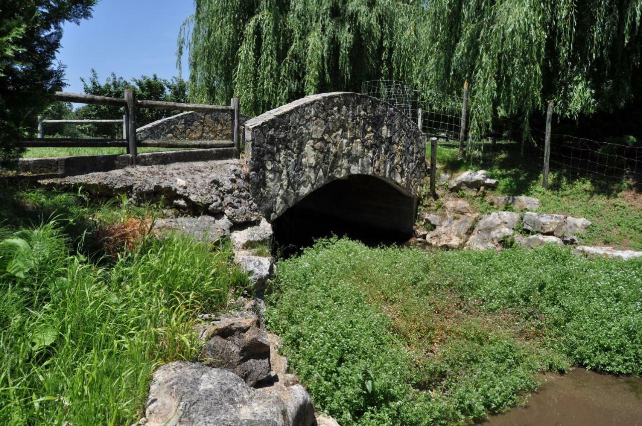 Quinta Da Serrana 奥雷堡垒 外观 照片